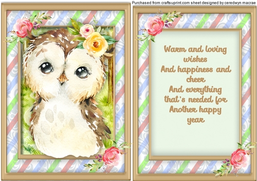 A5, Little Owls Birthday