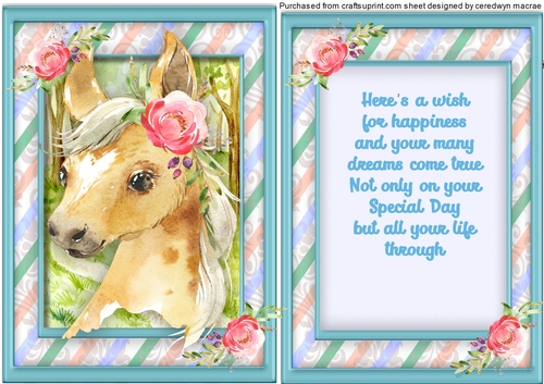 A5, Gorgeous   Birthday  Foal
