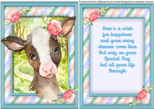A5, Gorgeous   Birthday  Calf