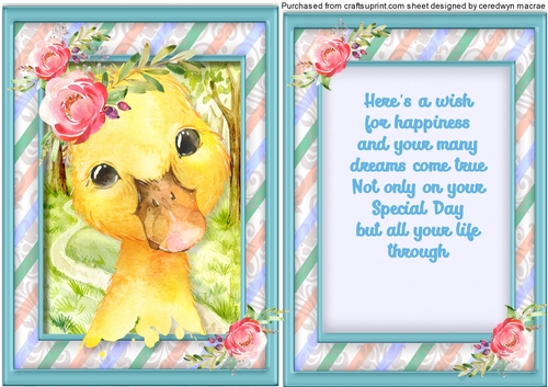 A5, Gorgeous   Birthday  Duckling