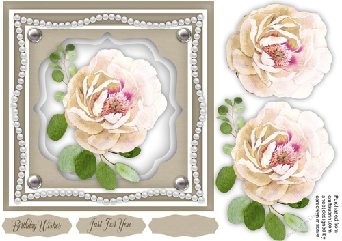Cream Rose Delight