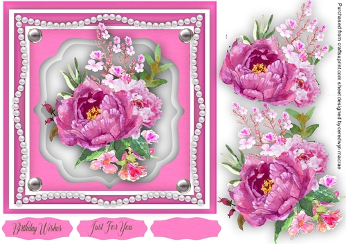    Pink Peony  Rose Delight