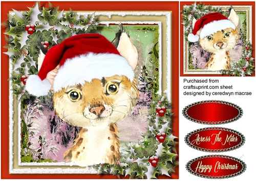Gorgeous Christmas Bobcat