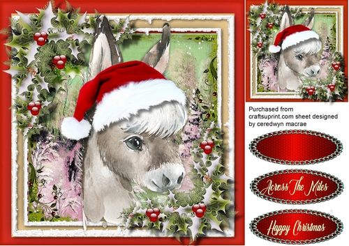 Gorgeous Christmas Donkey