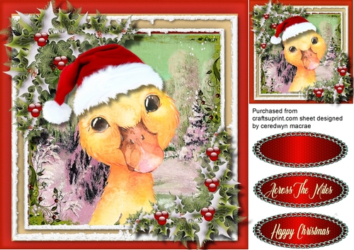 Gorgeous Christmas Duck