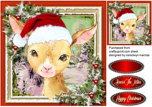 Gorgeous Christmas Goat