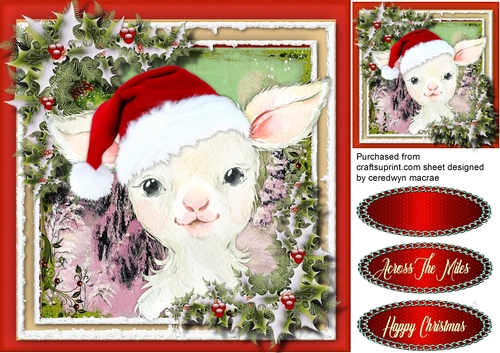 Gorgeous Christmas Lamb