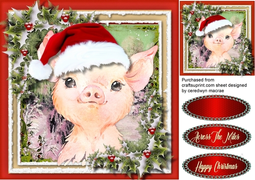 Gorgeous Christmas Pig