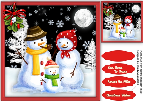 The Christmas  Snow Family