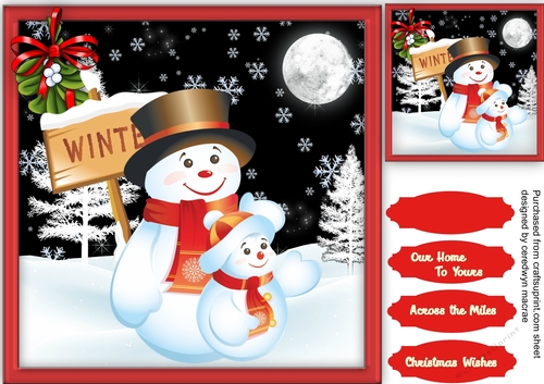 The Christmas Winter Snow man