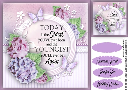 Beautiful Hydrangers and Birthday Wishes