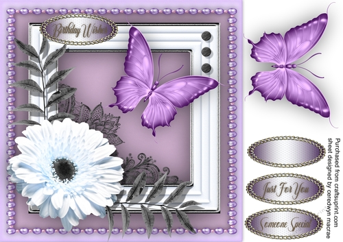 Daisy and Butterfly 1