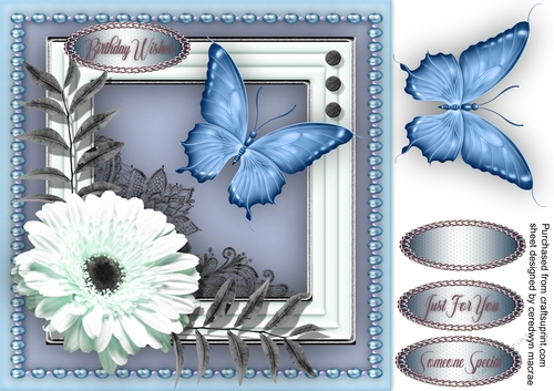 Daisy and Butterfly 2