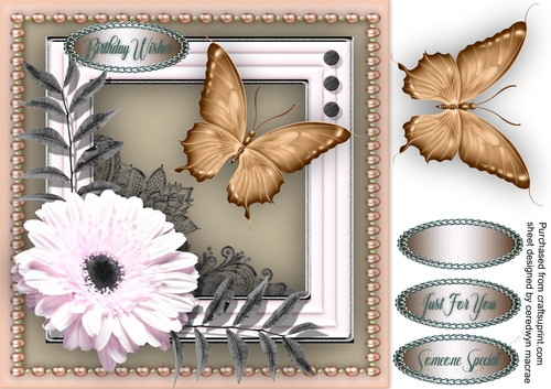 Daisy and Butterfly 4