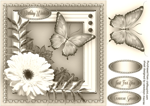 Daisy and Butterfly 5