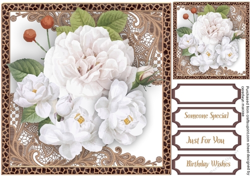Beautiful White Roses
