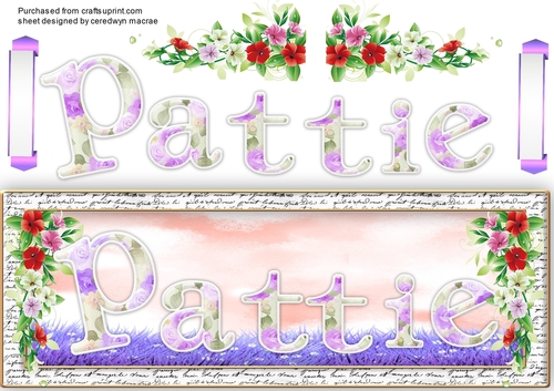 Dl , Card Pattie