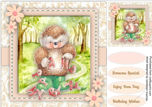Happy Birthday Hedgehog  
