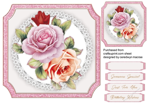 Beautiful French Roses 