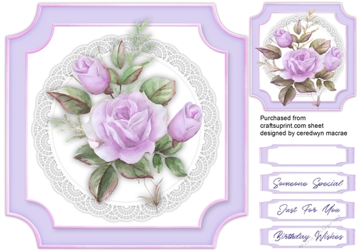 Beautiful  Lilac Roses 