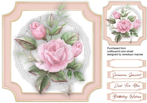 Beautiful  Pink Roses