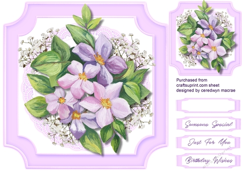 Beautiful Lilac Clematus 