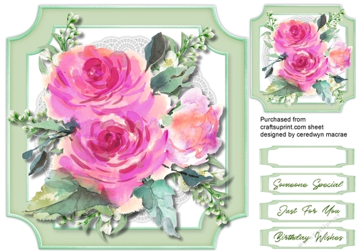 Beautiful Fruite Roses