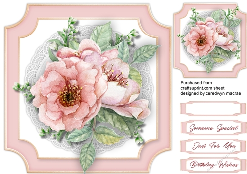 Beautiful Pink French  Roses