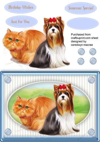 Beautiful Furry Friends  1