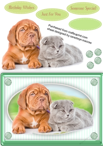 Beautiful Furry Friends  2