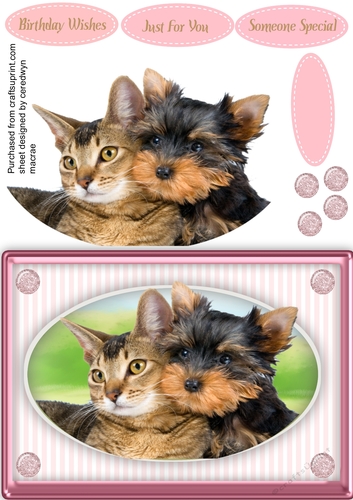Beautiful Furry Friends  3