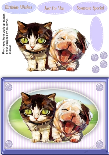 Beautiful Furry Friends  4