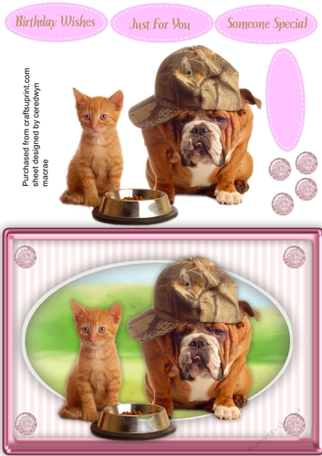 Beautiful Furry Friends  5