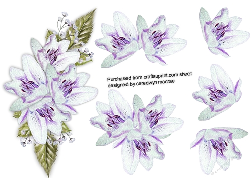 Lovely Spray of Lilac Lillys 