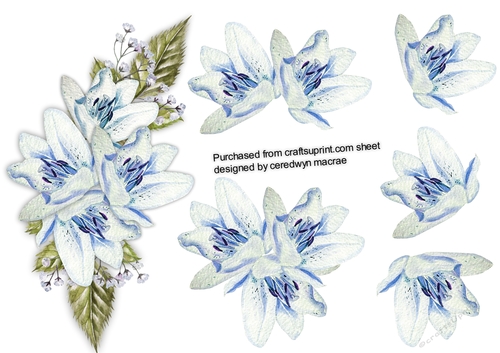 Lovely Spray of Blue Lillys 