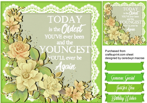 Older But Wiser 2