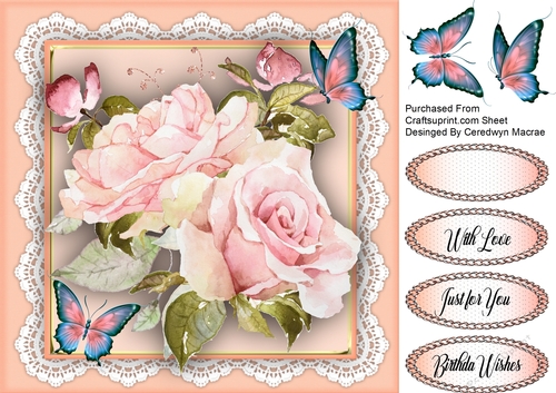 Beautiful French Roses 