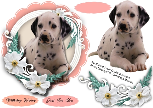 Beautiful Dalmatian Pup Topper