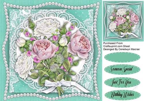 Lovely Rose garden Roses 