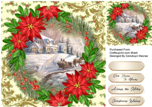 Sleigh Ride  In the Snow 