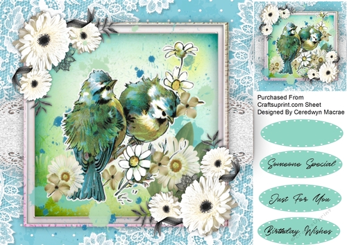 Beautiful Aqua Birds and Daisys 