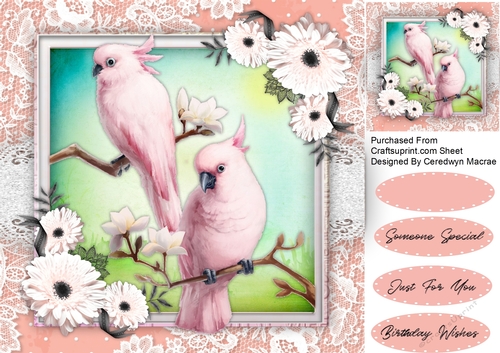 Beautiful Pink Parrots and Daisys 