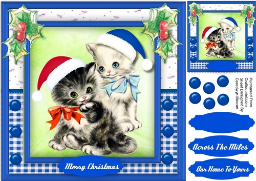 Christmas Kittens in There Hats 
