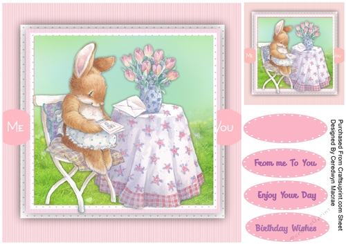 Mrs Rabbits Birthday