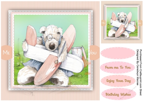 My Birthday Aeroplane 