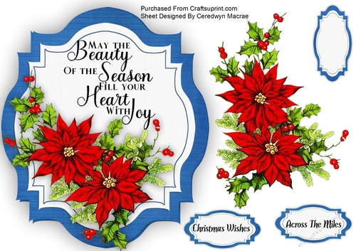 Beauty of the Season 