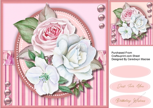 Beautiful Pink Roses 
