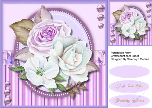 Beautiful Lilac Rose Bliss 
