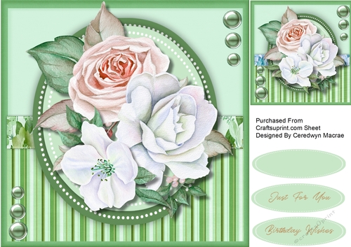 Pink Rose liss