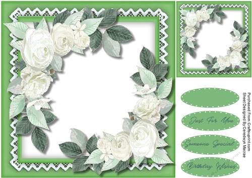 Beautiful Roses  On Lace 